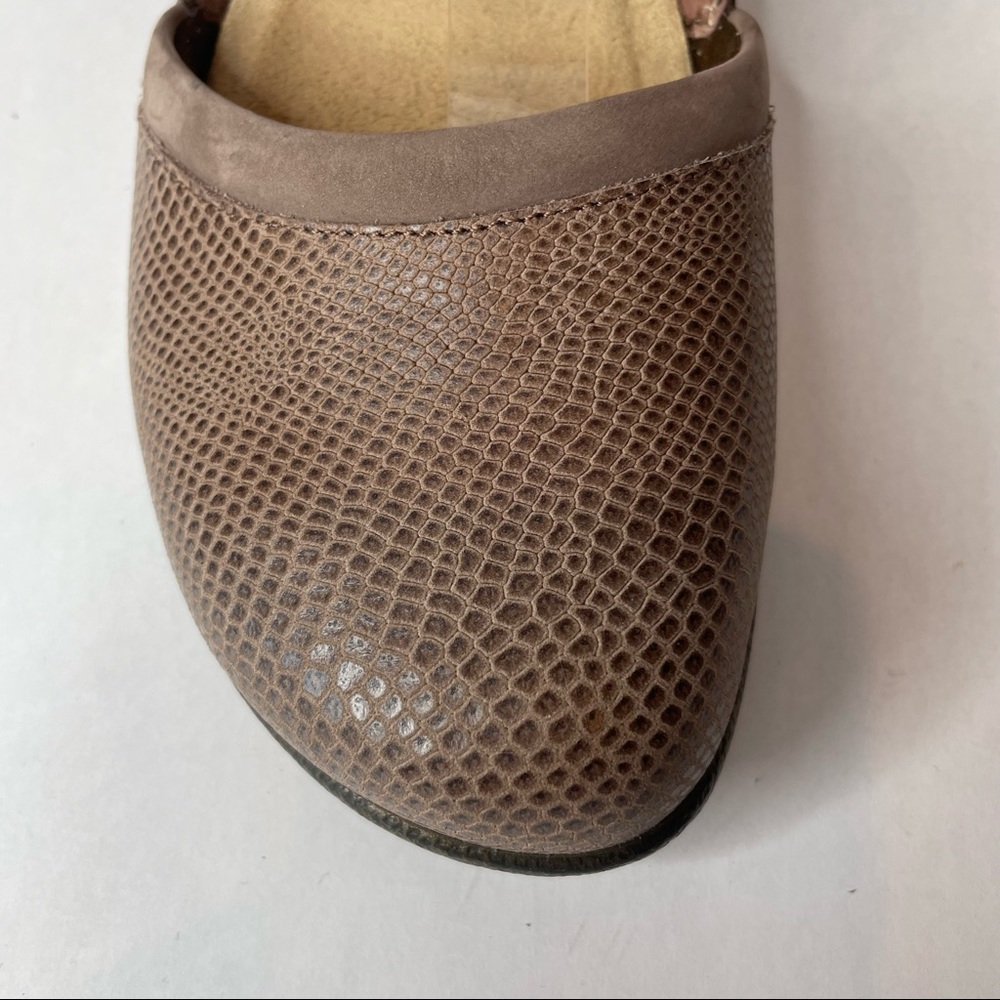 Brown Women's Shoes - Picture 5 of 11